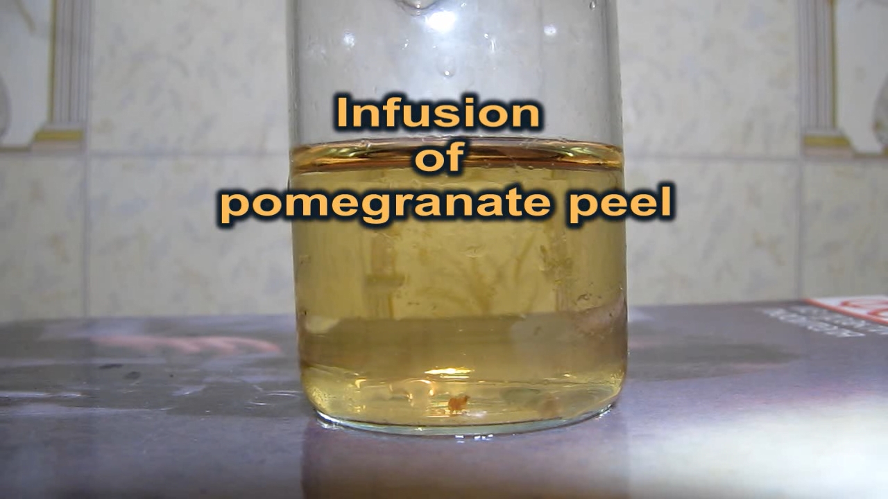   ,    . Infusion of pomegranate peel, ammonia and hydrochloric acid